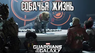 Marvel's Guardians of the Galaxy ➤ Глава 7 ➤  Собачья жизнь