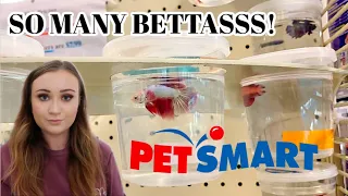 COME WITH ME TO PETSMART! | How Are The Bettas? | VLOG | ItsAnnaLouise