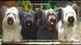 Skye Terrier (Skajterier) - Původ, historie a chov plemene Skye Terrier. mp3