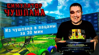 СИМУЛЯТОР ЧУШПАНА. ЧТО ВООБЩЕ ТУТ ПРОИСХОДИТ?!