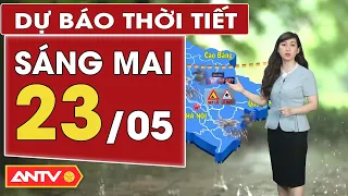 Dự báo thời tiết ngày mai 23/5: Bắc bộ mưa rào và dông rải rác; Nam bộ ngày nắng, chiều tối mưa dông