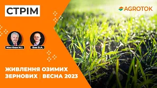 🌾 Живлення озимих зернових 🌱|Весна 2023