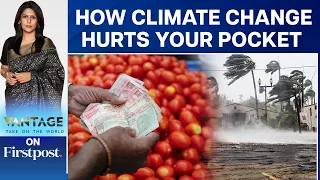 Explained: How Climate Change is Making Inflation Worse | Vantage with Palki Sharma