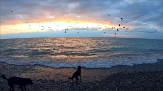 🔔Море закат чайки Лазаревское +11 зимой 2019 вода 13,7 / Жизнь в Ялте