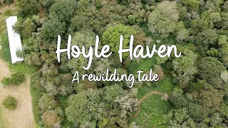 Hoyle Haven - A Rewilding Tale