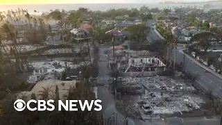 Hawaii wildfire survivor who lost house describes situation on the ground