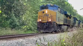 CSX FREIGHT TRAIN BEHIND CAMPSITE!  09-01-2023 ANVIL CAMPGROUND WILLIAMSBURG VA DPU