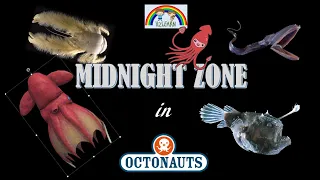 The MIDNIGHT ZONE in Octonauts | Colossal Squid | Vampire Squid | Angler Fish | Gulper eel and more