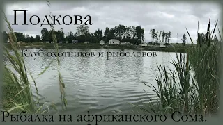 Рыбалка на Сома! В клубе охотников и рыболовов Подкова, Платник, Химки, Московская область