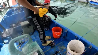 KAMI DI SERANG IKAN SENANGIN BERTUBI-TUBI