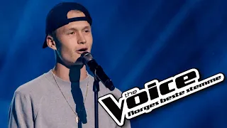 Einar Christiansen | Wake Me Up  (Avicii) | Blind audition | The Voice Norway | S06