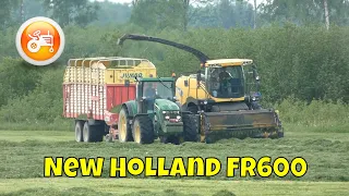 Silage 2022 | New Holland FR600 forager in grass silage