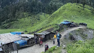 Best Life in The Nepali Mountain Village Life | Best Compilation Video Shepherd Life | VillageLife