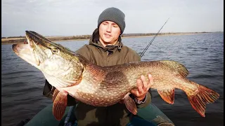 ЧЕРНЫЕ ЩУКИ   МОНСТРЫ диких озер! Моя самая УДАЧНАЯ РЫБАЛКА! Monster Pike!