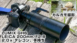 LUMIX GH6+LEICA 200mm/F2.8+2.0テレコン 4K動画 カルガモの親子を撮影しました