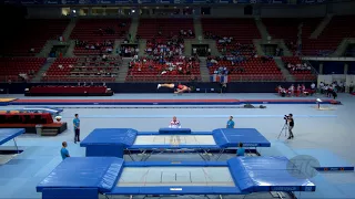 USHAKOV Dmitrii (RUS) - 2017 Trampoline Worlds, Sofia (BUL) - Qualification Trampoline Routine 2