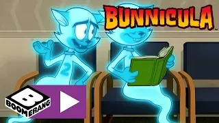 Bunnicula | Chester's Cat Heaven | Boomerang UK 🇬🇧