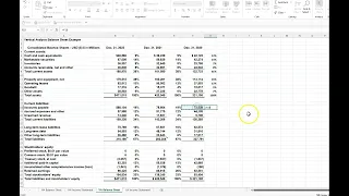 Vertical Analysis on the Balance Sheet & Income Statement