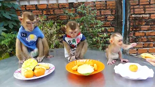 Dodo, Donal And Super Cute Baby Monkey Moly Obedient Mom While Eating Fresh Fruit Together