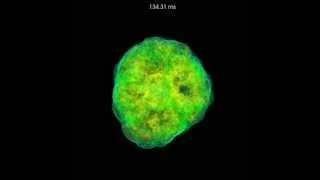 Three-Dimensional Core-Collapse Supernova (highest resolution)