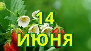 14 июня день донора крови и другие праздники...