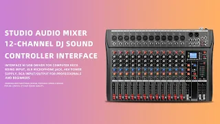 Depensheng DX12 DJ Sound Controller USB Drive for Computer Recording 12-Channel Studio Audio Mixer