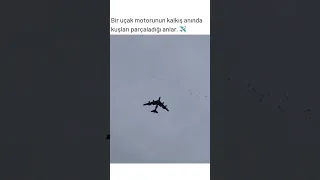 ✈️🚨 Bir uçak motorunun kalkış anında kuşları parçaladığı anlar. ✈️