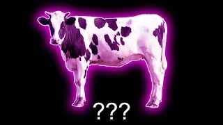 ❗Cow "Moo" Sound Variations in 30 Seconds❗