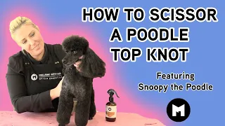 How to scissor a poodle top knot