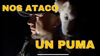 Chito Rumbo Al Cerro Picudo ME ATACO UN PUMA! PARTE 1