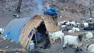Himalayan Village Life | Nepal | Shepherd Kitchen | shepherd Life | Real Nepali Life🇳🇵