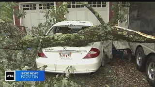 Fallen trees cause damage in Acton