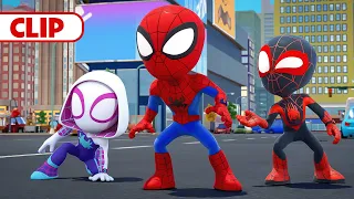 The Spidey Team Stops Zola! 🕸 | Marvel's Spidey and his Amazing Friends |@disneyjunior​