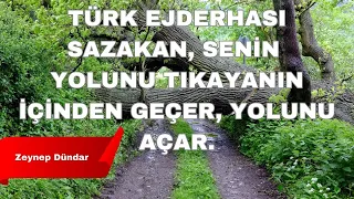 TÜRK EJDERHASI SAZAKAN