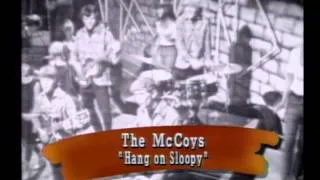 the McCoys - Fever, Hang on Sloopy (mix by Kelly)(1965)