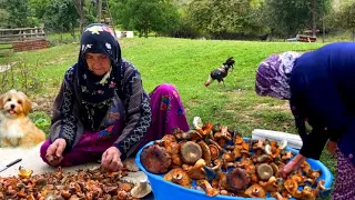 Köyde Kova Kova Mantar Nasıl Toplanır - Köy Belgeseli