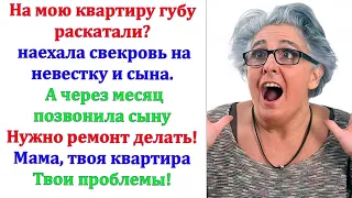 Ты же подарила нам квартиру, сказал сын. Вы здесь только живете! Квартира моя! Выкрутилась Свекровь.