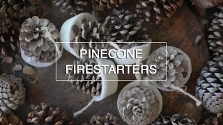 Homemade Fire Starters  - Pinecone