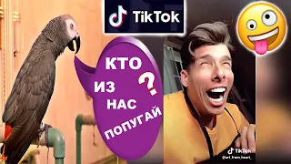 ✅ РЕАКЦИЯ говорящего попугая на смешульки из приложения TikTok🤪СМЕШНО ДО СЛЁЗ🤣Жако Петруня🔥ВЛОГ