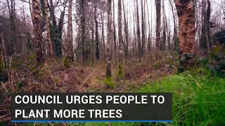 Call for people to plant trees to promote biodiversity