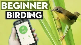 Things ALL Beginner Birders Should Do