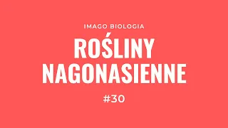 Rośliny nagonasienne