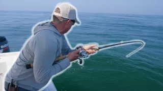 Epic Battle with a Monster Striped Bass!