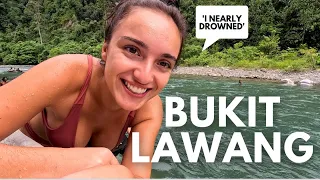 First Impressions of Bukit Lawang, Sumatra - Indonesia Vlog 🇮🇩