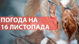 Погода у Києві на 16 листопада 2021