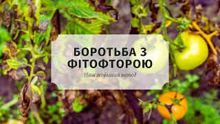 Боротьба з фітофторою! Наш особливий метод✔️