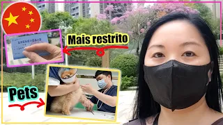 Aqui na China - LOCK DOWN FICOU MAIS RESTRITO! Quarentena e Pets