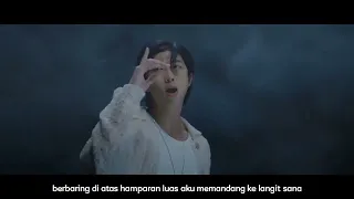 RM "Wild Flower" With youjeen MV (sub indo)