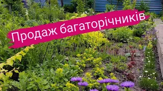 Огляд рослин на продаж, ассортимент рослин з цінами у вайбері