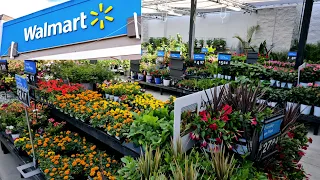 Walmart Garden Center inventory for April + Clearance Plants.🌱🌿